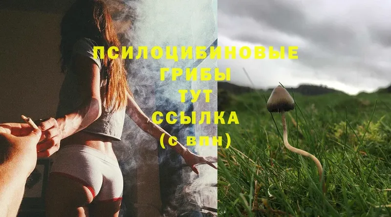 Псилоцибиновые грибы MAGIC MUSHROOMS  даркнет сайт  Верхняя Тура 